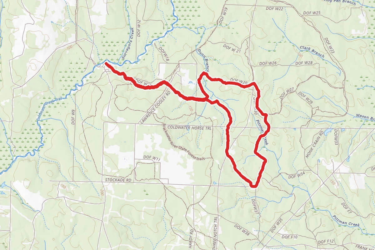 Coldwater Yellow Loop
