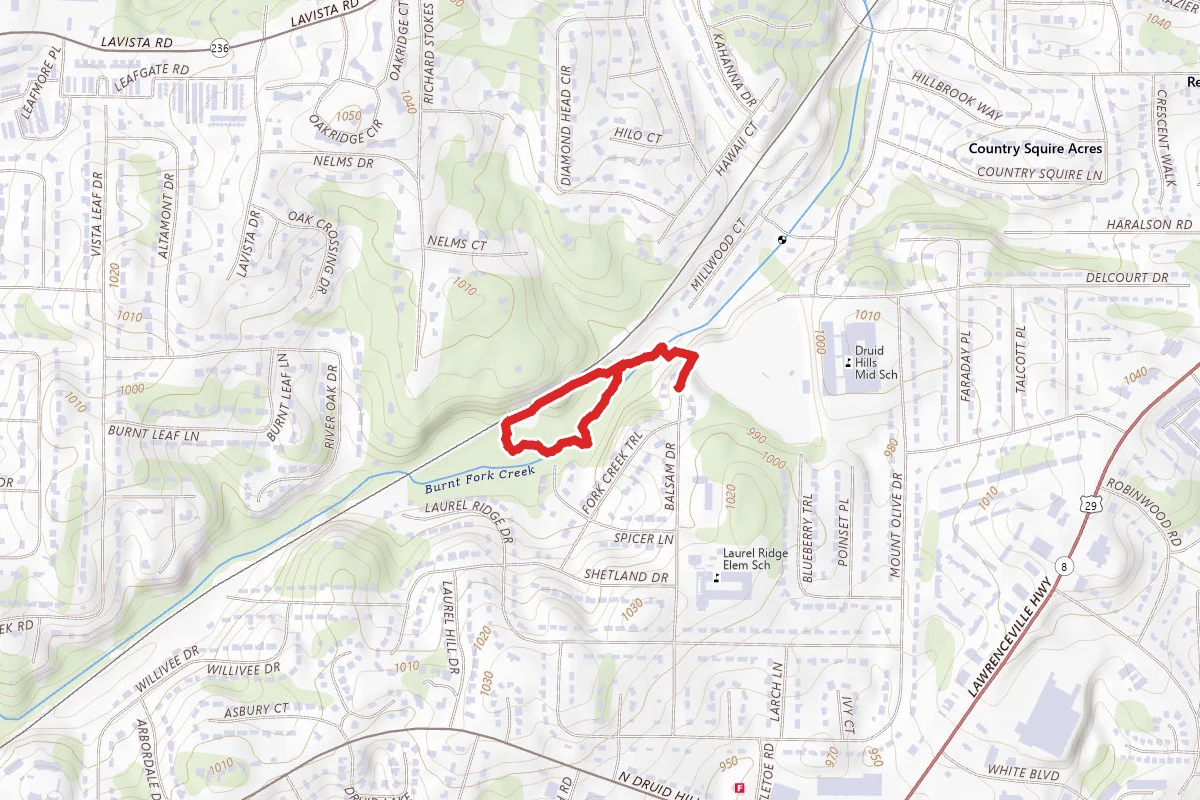 Shamrock Forest Loop