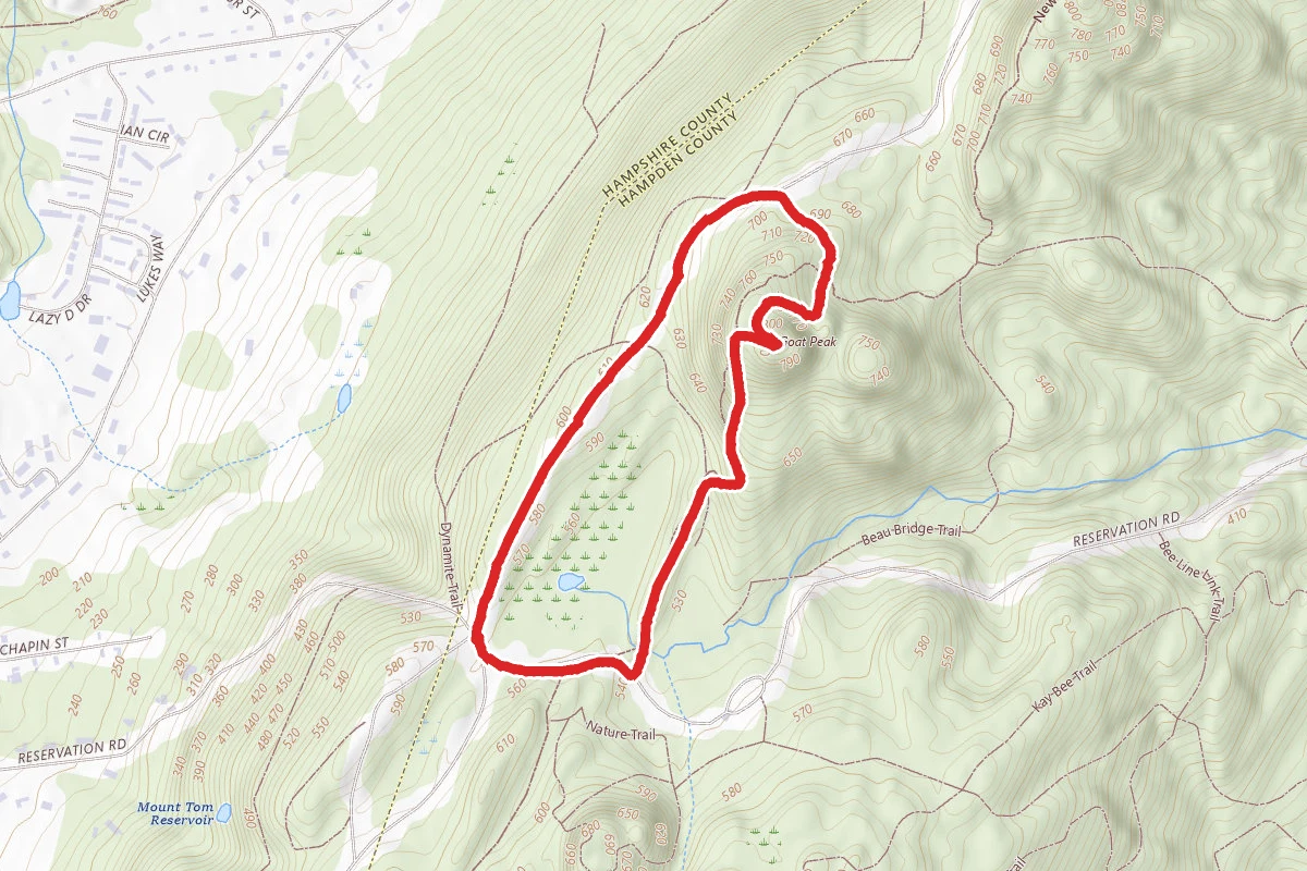 Goat Peak Lookout Trail