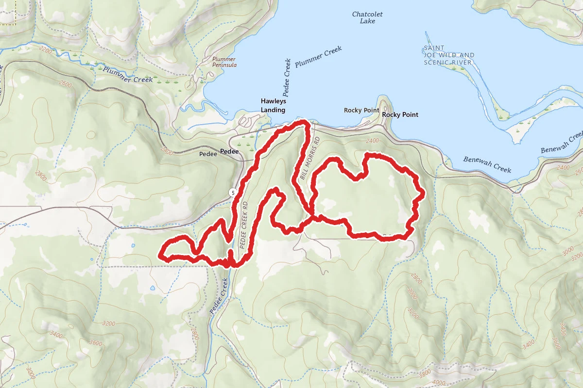 Rocky Top Loop Trail