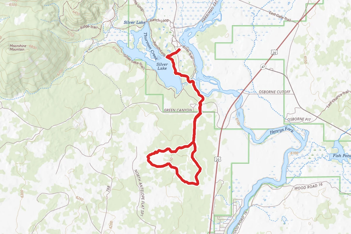 Harriman Hounds (Winter Trail)