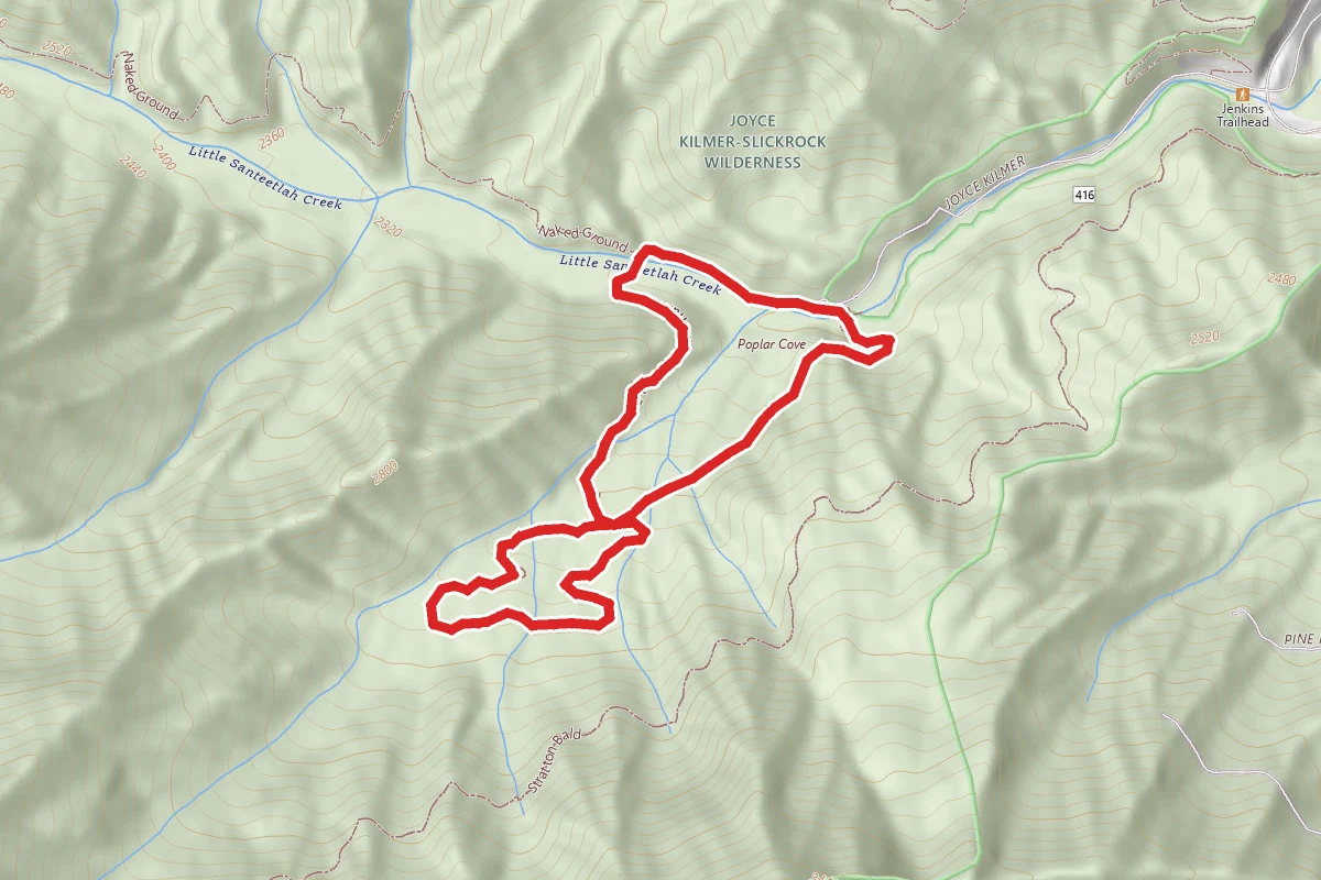Joyce Kilmer Memorial Forest Loop Trail