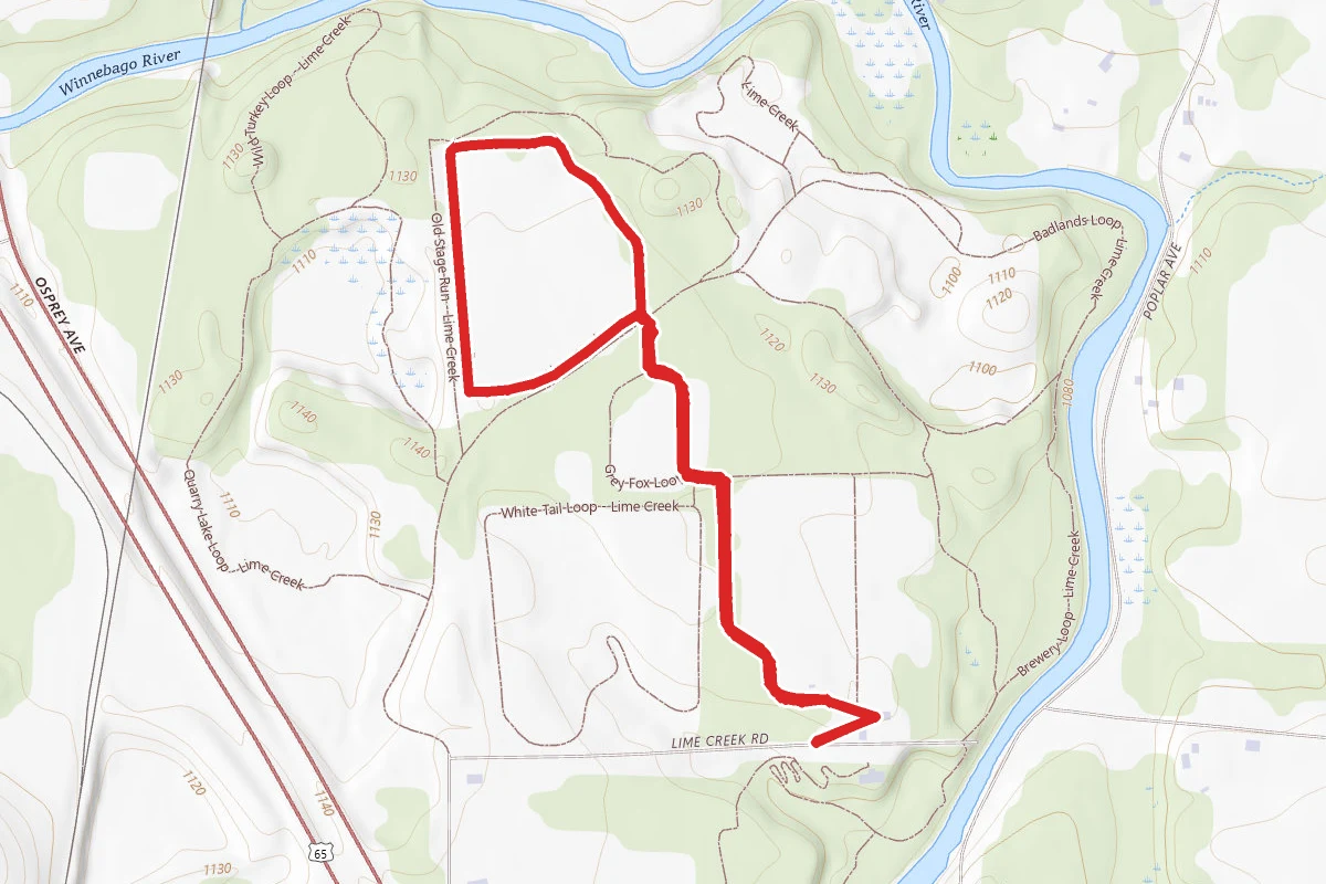 Barred Owl Loop
