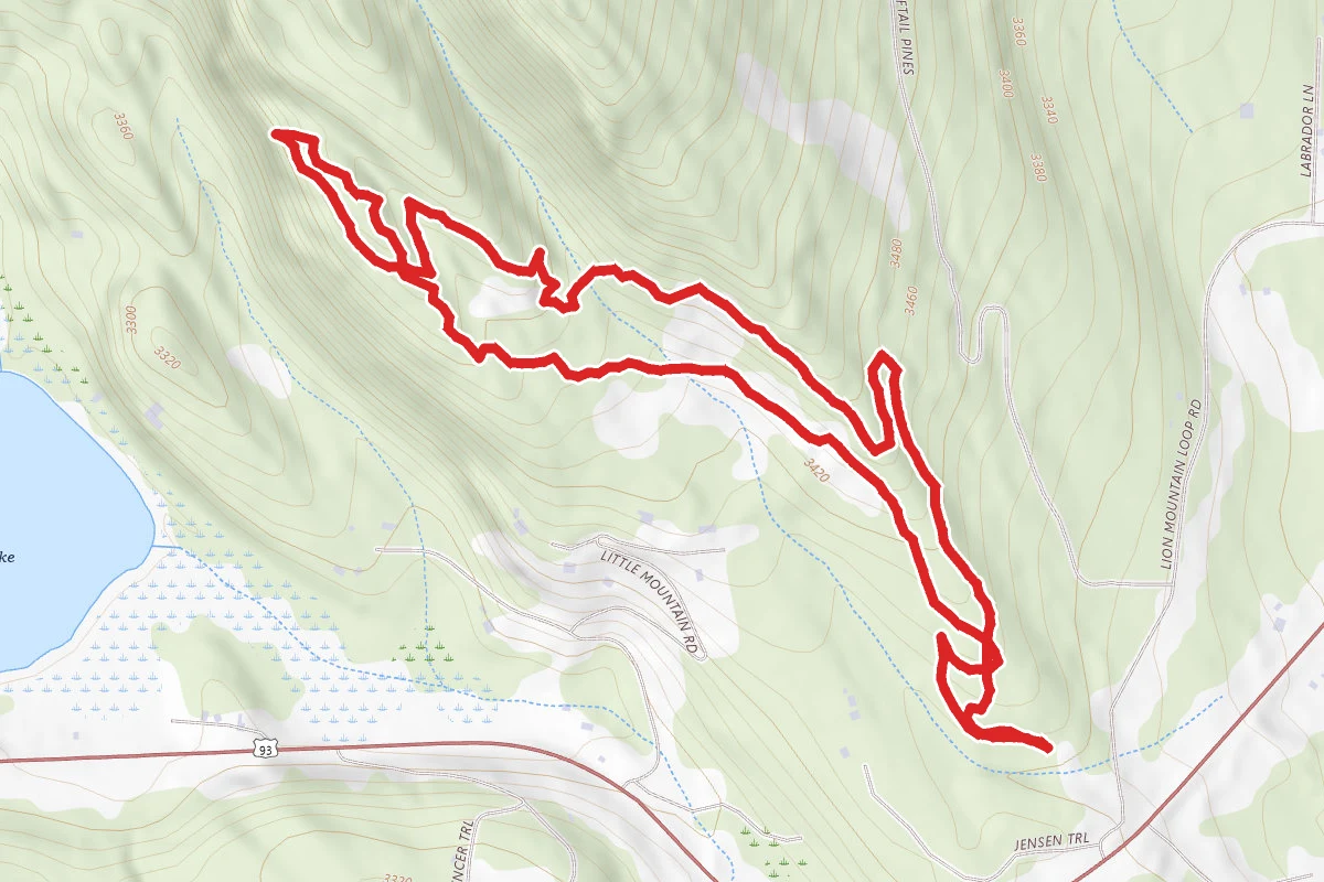 Lion Mountain Trail