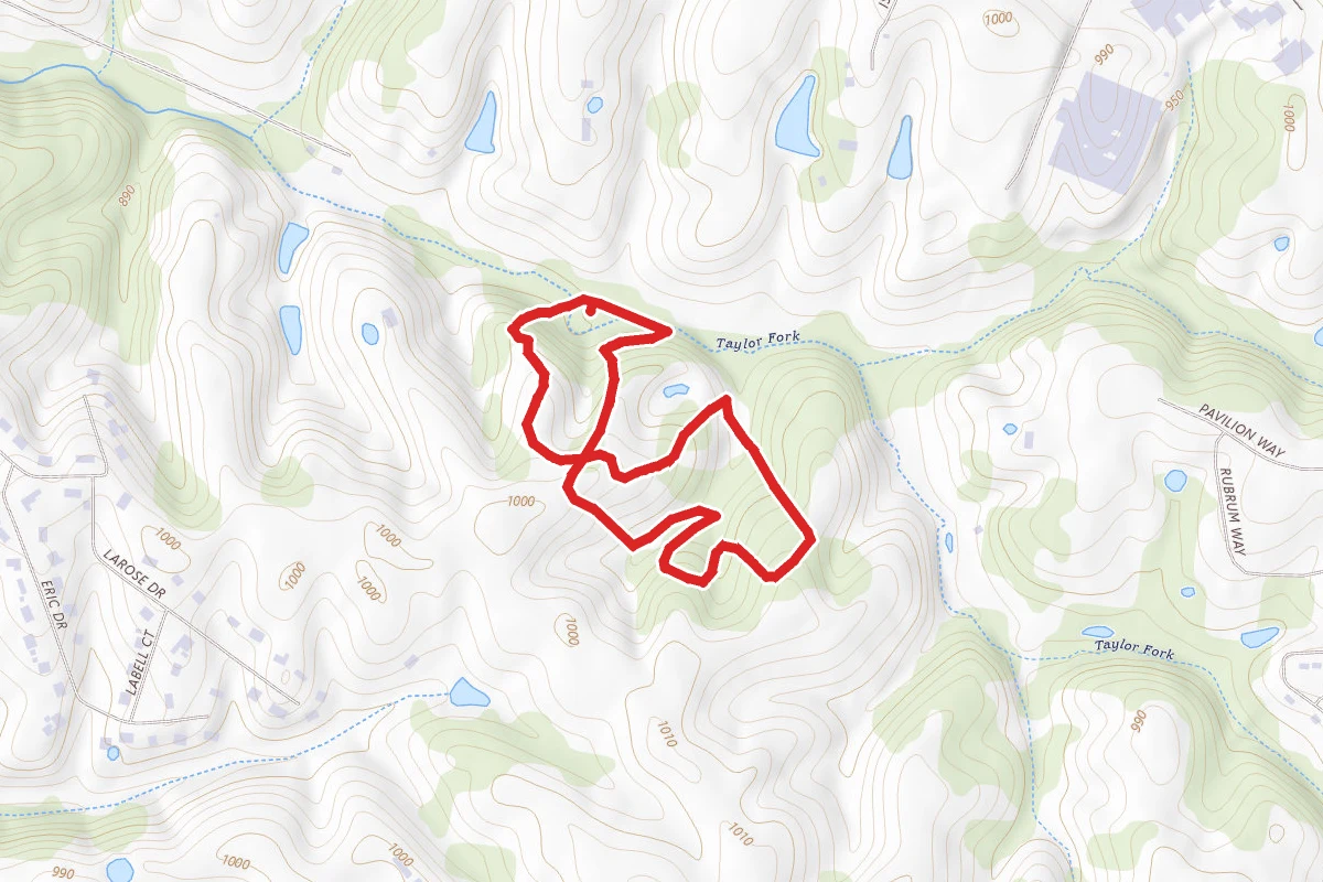 Taylor Fork Ecological Area Loop