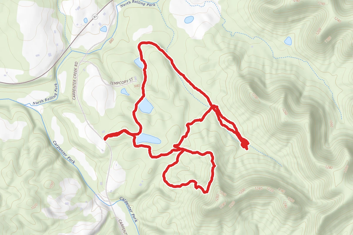 Yellow Trail, Deer Trail Loop
