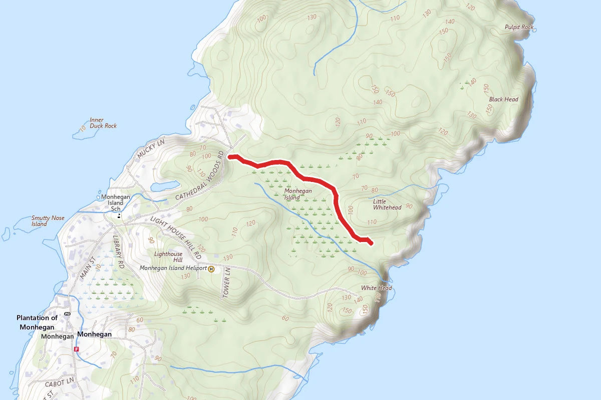 Cathedral Woods to Long Swamp Trail