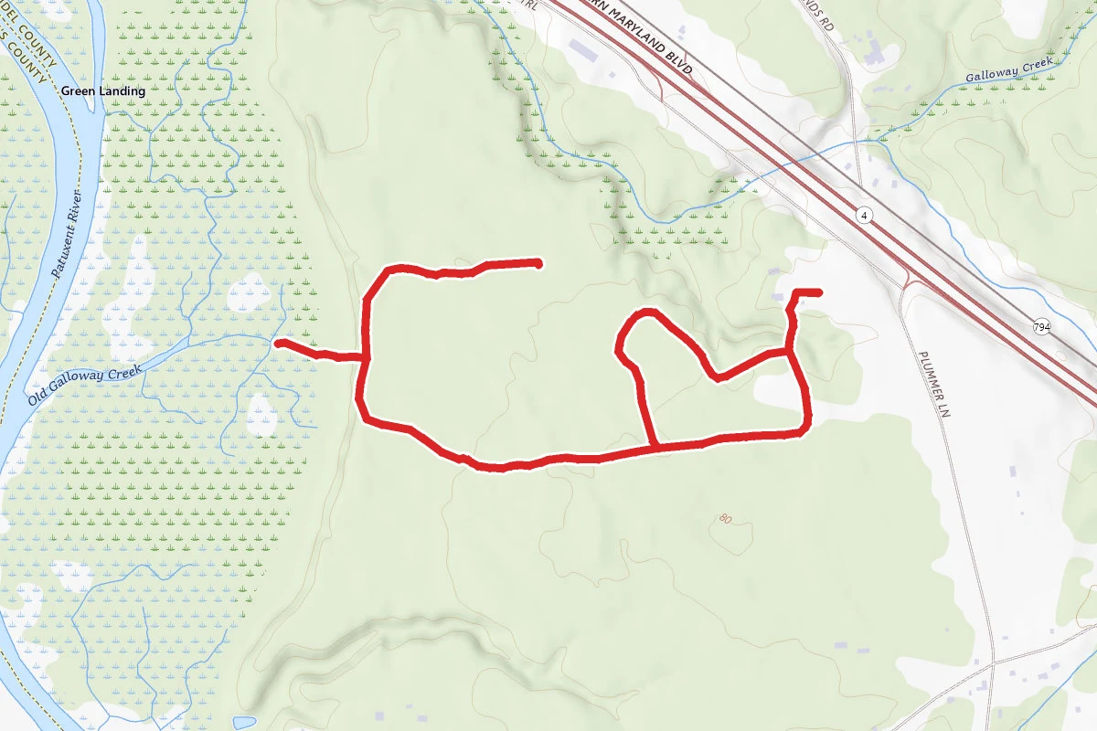 Blueberry, Holly, Maple and Pine Barrens Loop