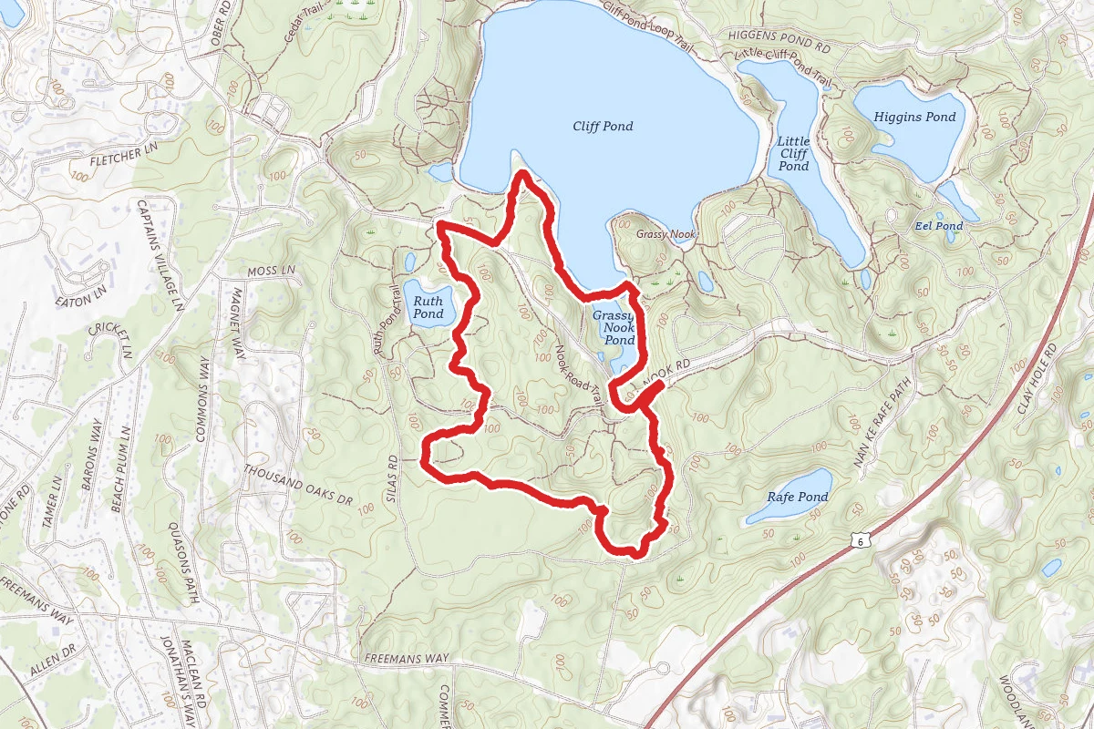 Cliff Pond And Forest Loop Trail