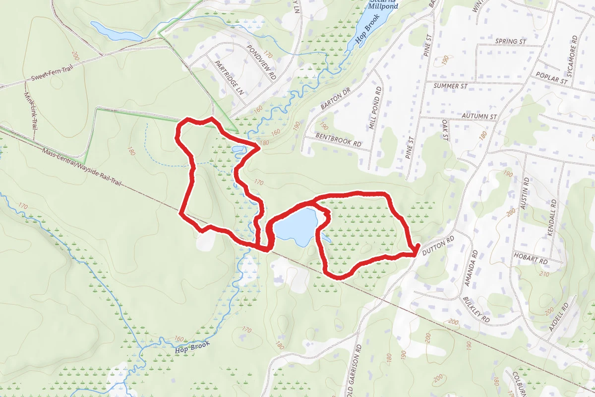Blueberry Trail, Marsh to Desert, Fletcher, and Pine Trail Loop