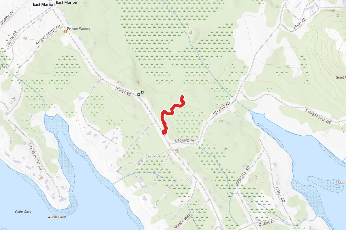 Hagemann Woods