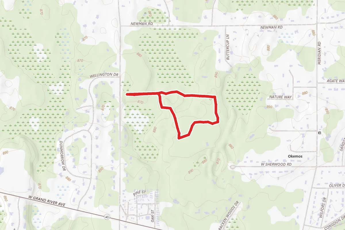 Ted Black Woods Orange Loop via Black Trail