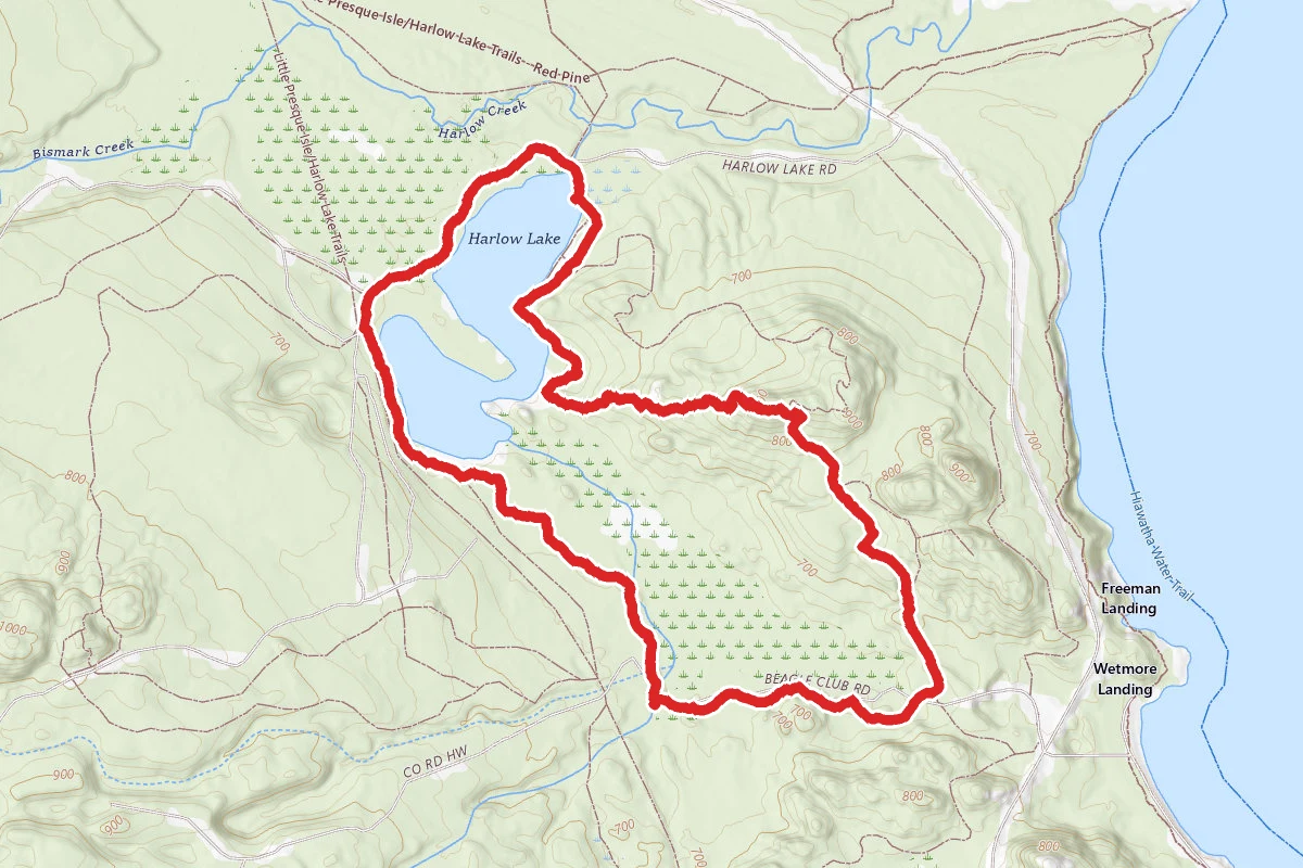 Hemlock, Beagle Club, and Bareback Trails Loop
