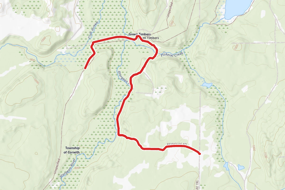 Reynolds Road to Green Timbers Cabin