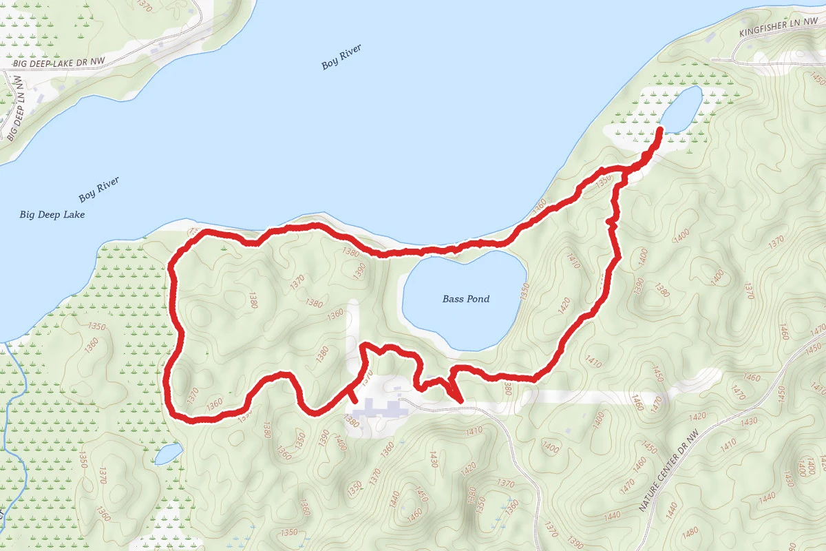 Bog and Bass Pond Loop