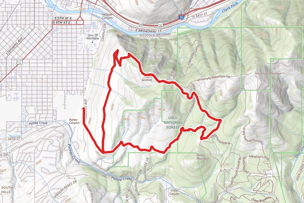 Mount Sentinel and Pattee Canyon Loop