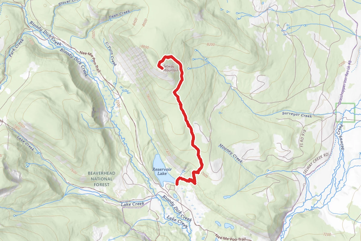 Selway Mountain Trail