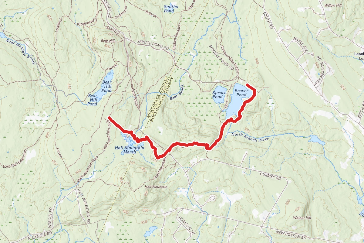 Lynx Trail to Hall Mountain Marsh