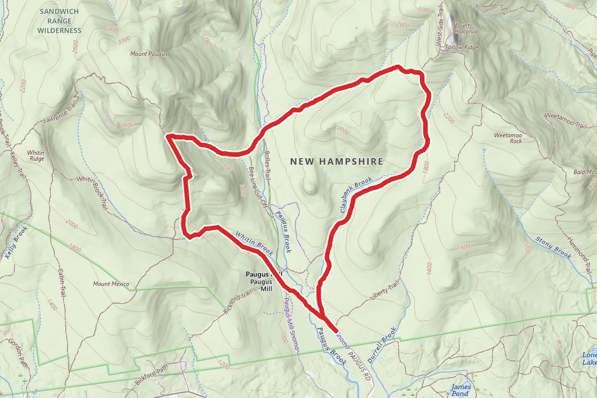 Bee Line Loop Trail