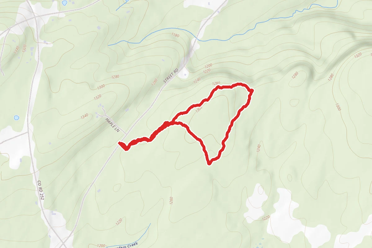 White, Blue and Yellow Trail Loop