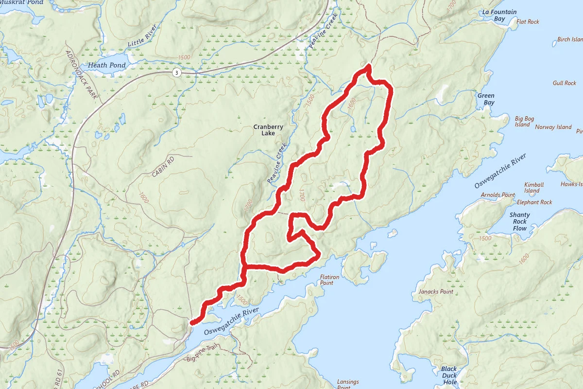 Peavine Swamp Trails Loops 2 and 3