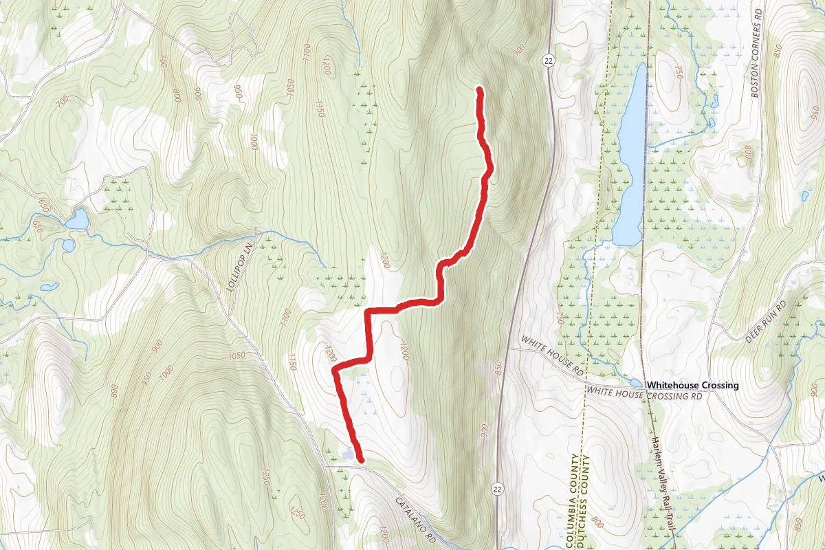 Overmountain Conservation Area Trail