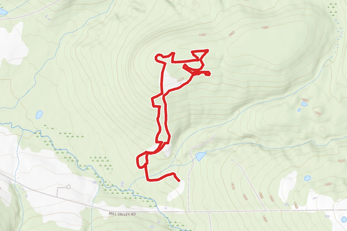 Mill Valley Loop 1