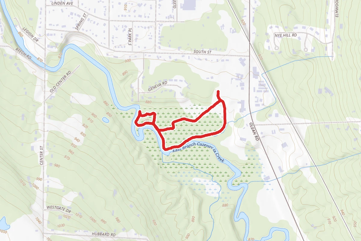 Majors Park Boardwalk and Wetland Loop