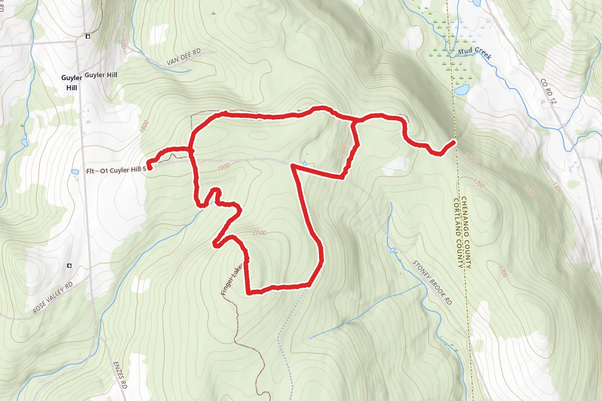 Cuyler Hill State Forest Loop
