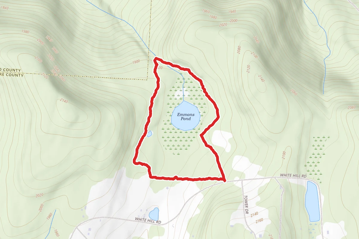 Emmons Pond Bog Trail