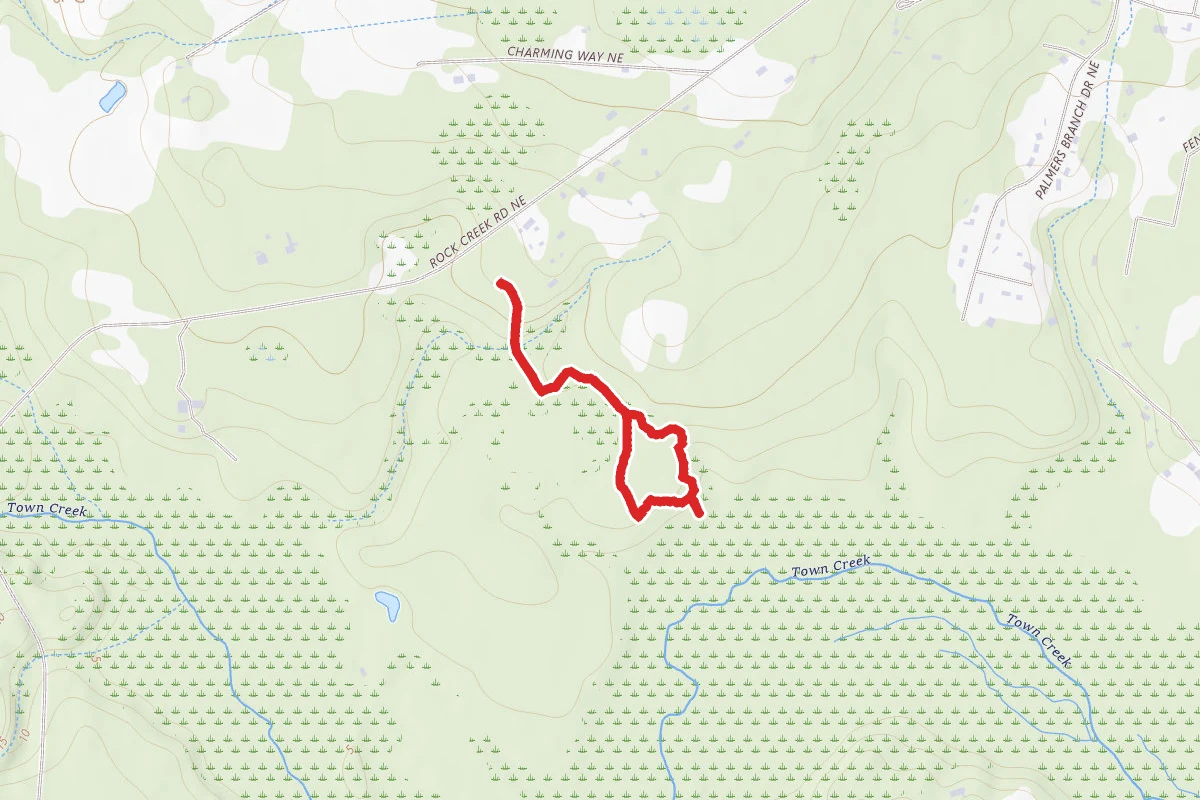 Loblolly Loop via Dogwood Trail