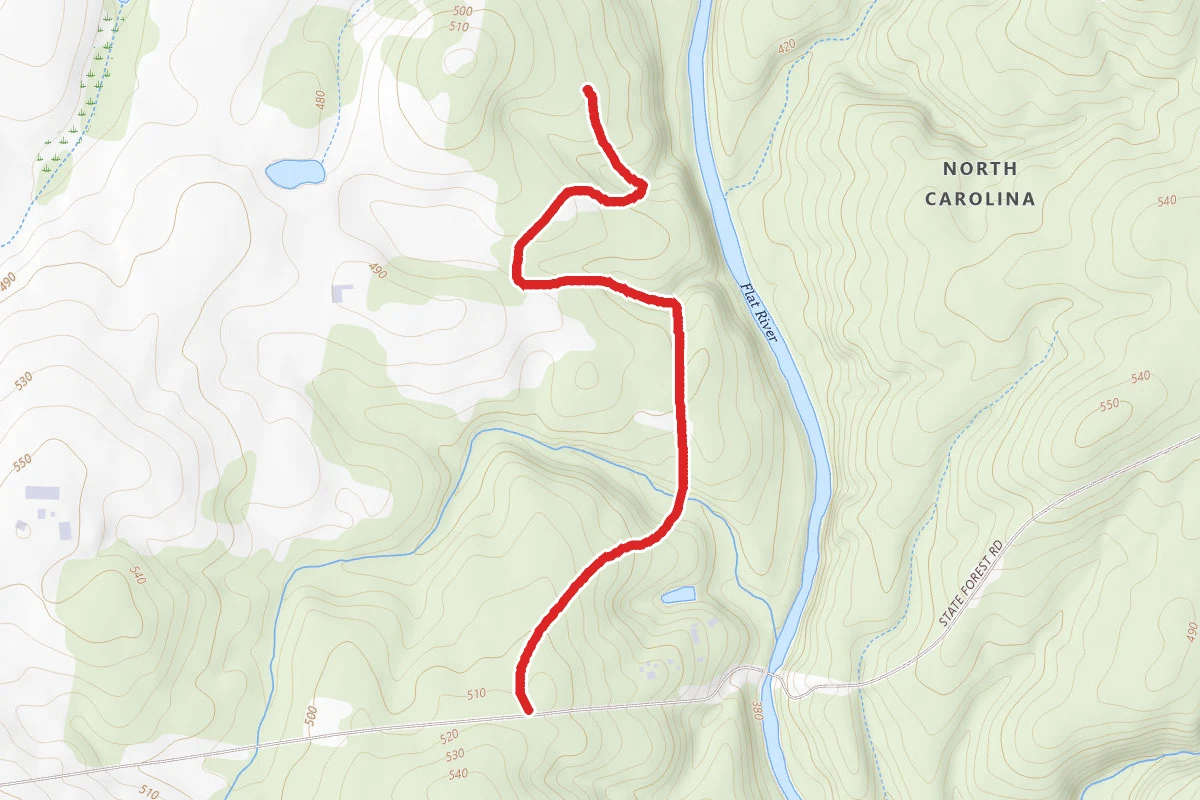 Hill Demonstration Forest