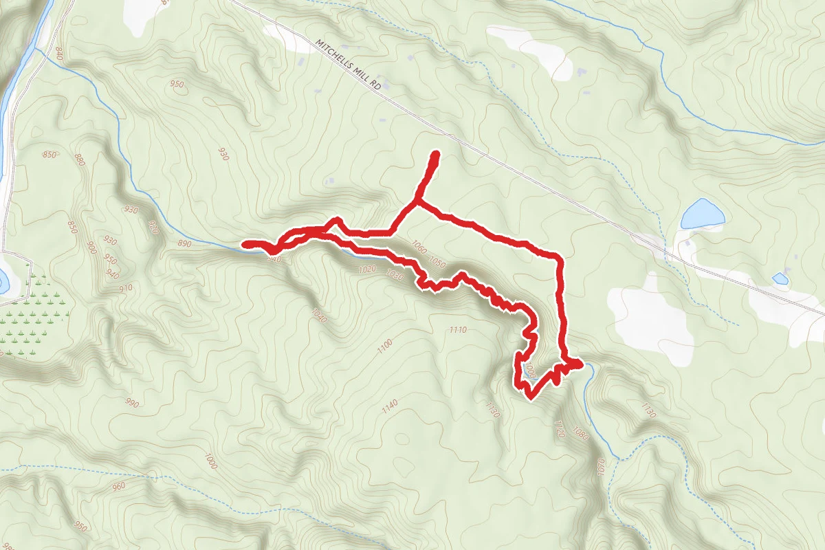 Stebbins Gulch