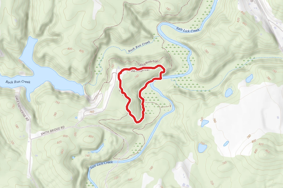 Salt Creek Trail - Short Loop