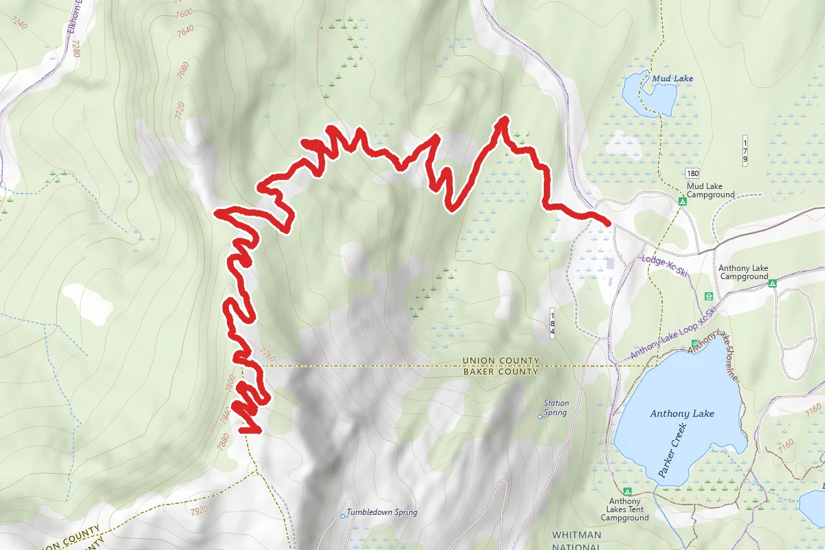 Flow Trail