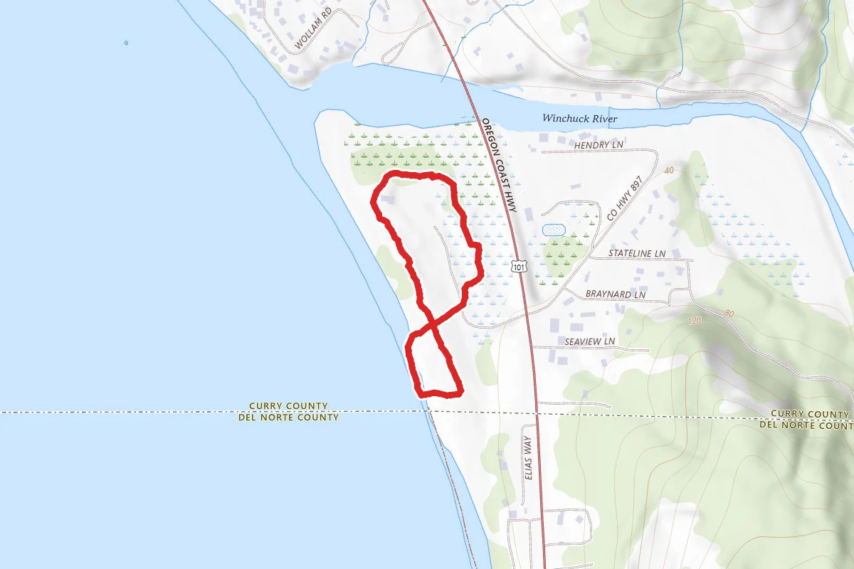 Chrissy Field Wetland Loop to Ocean Beach Trail