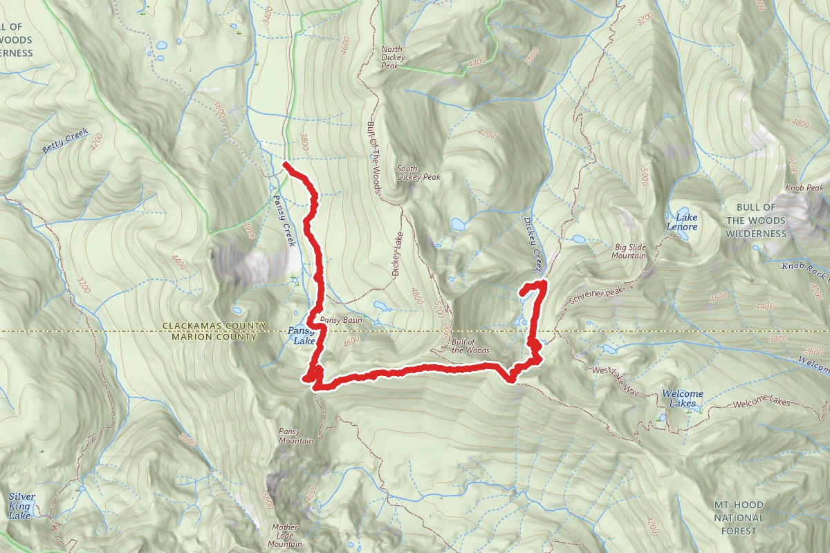 Pansy Lake Trail, Mother Lodge Trail, and Big Slide Lake