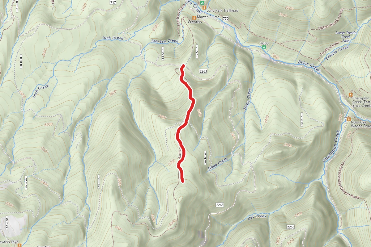 Adams Mountain Trail #1419