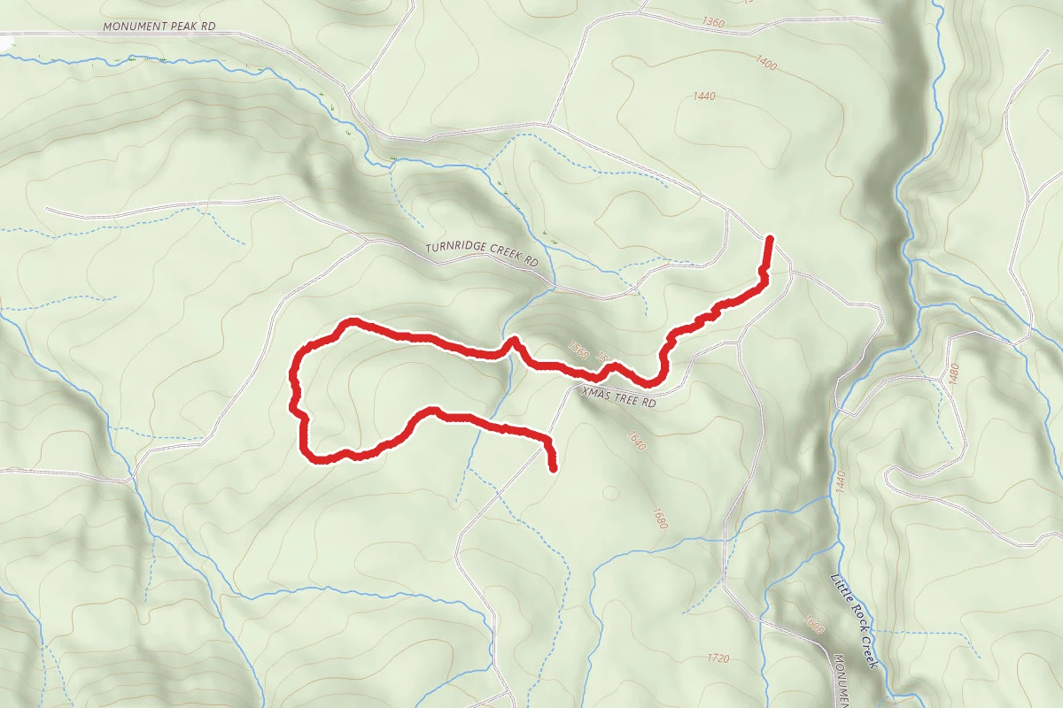 Wild Boar Trail
