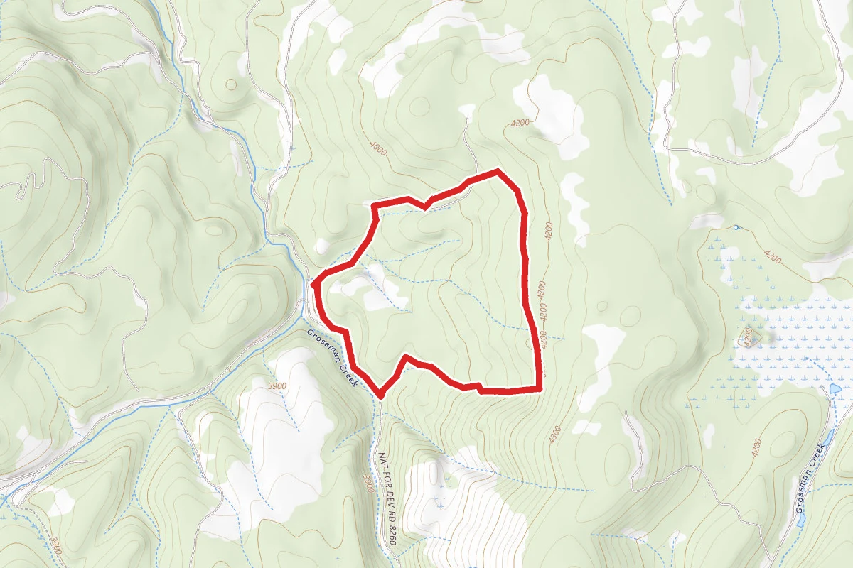 Minam State Park Area Trails