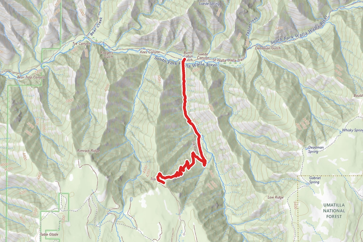 Burnt Cabin Trail
