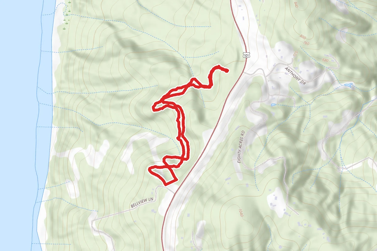 Belleview Lane to 333 Trail