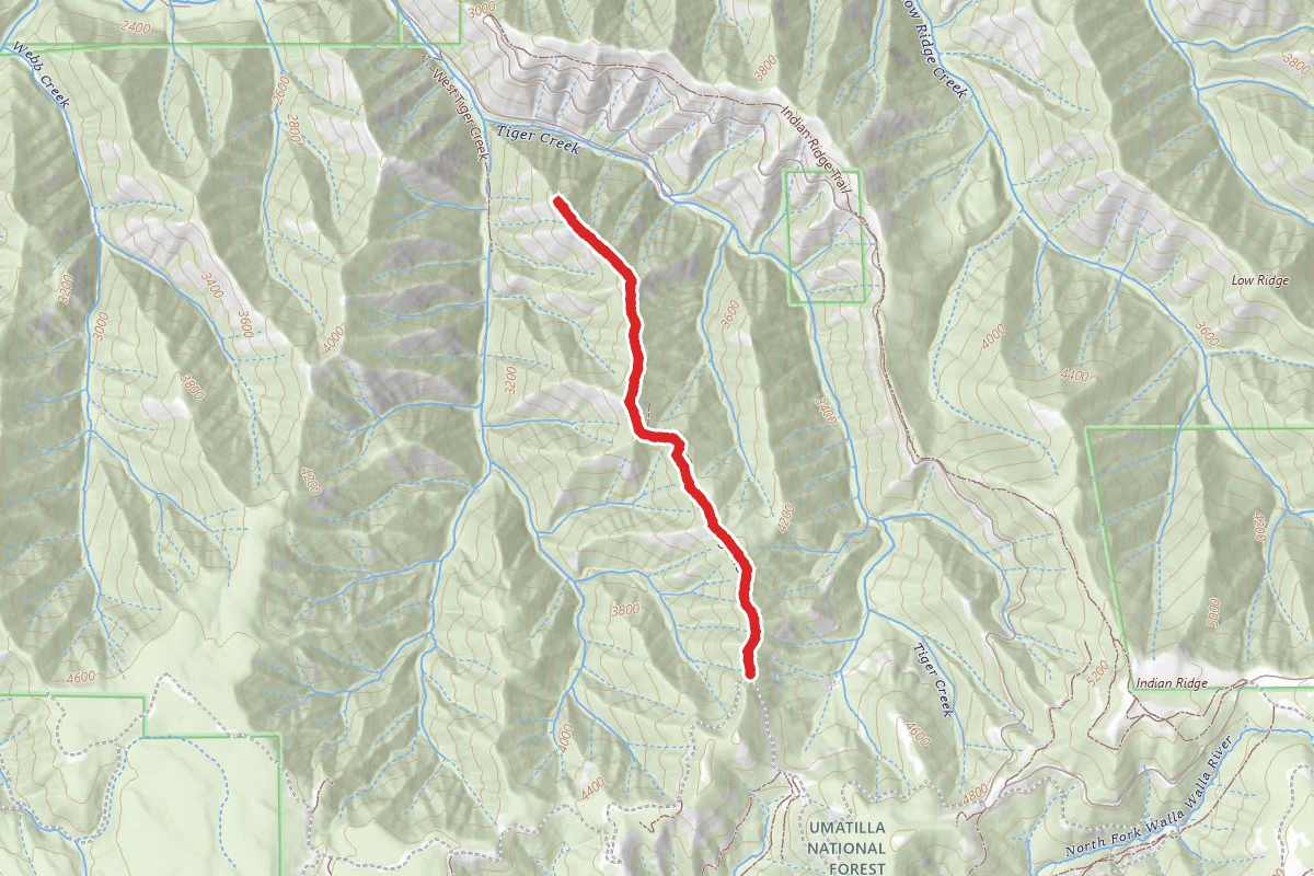 Tiger Ridge