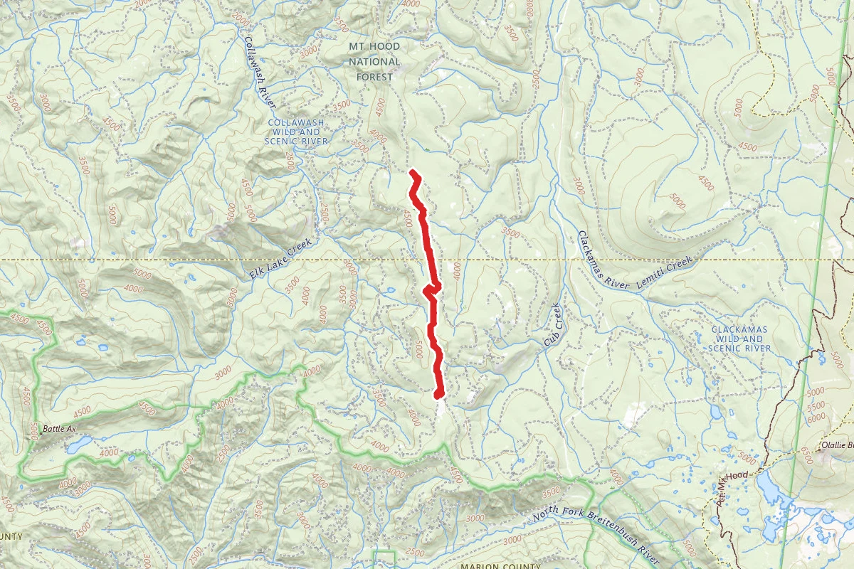 Rhododendron Ridge Trail