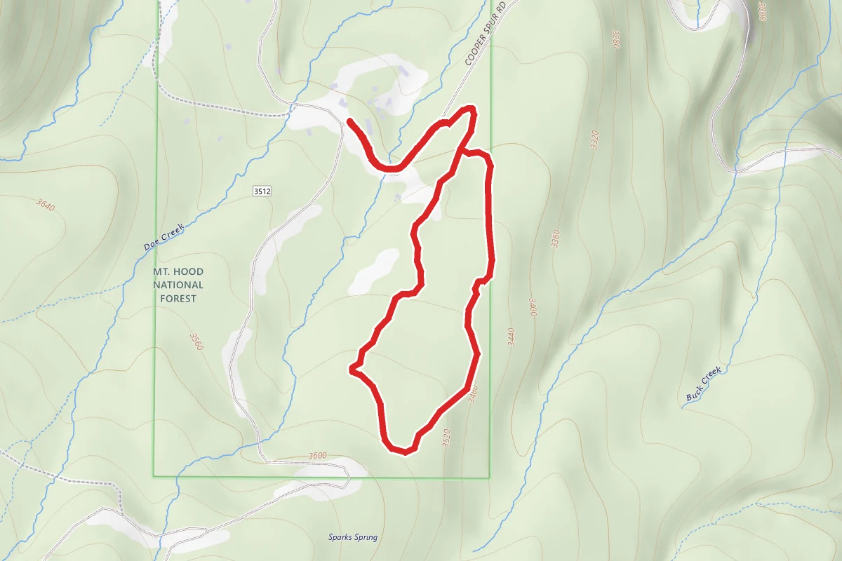 Polallie Ridge Trail Short Loop