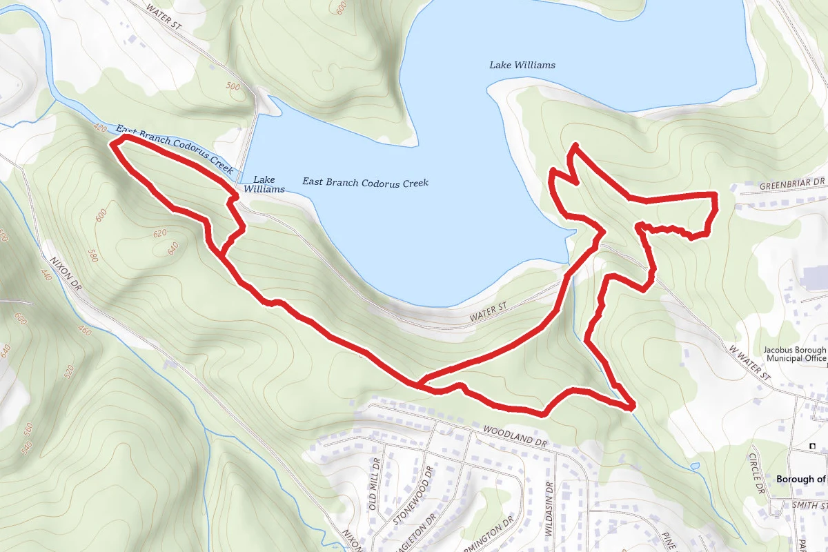 Lake Williams Trail 4, 4A, 4B