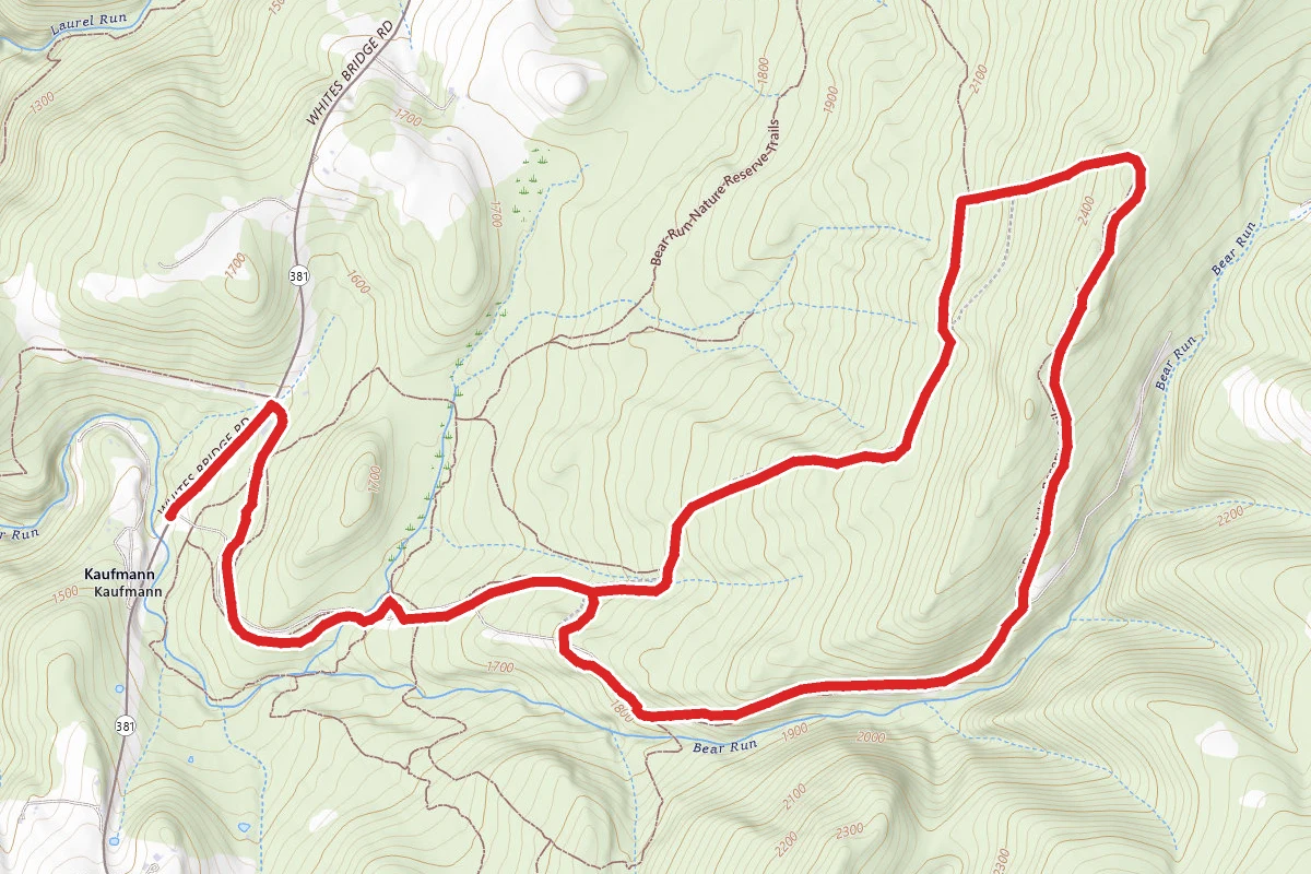Bear Run Hiking Trail