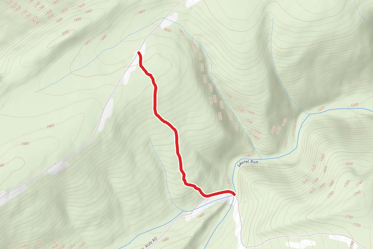 Boiler Trail