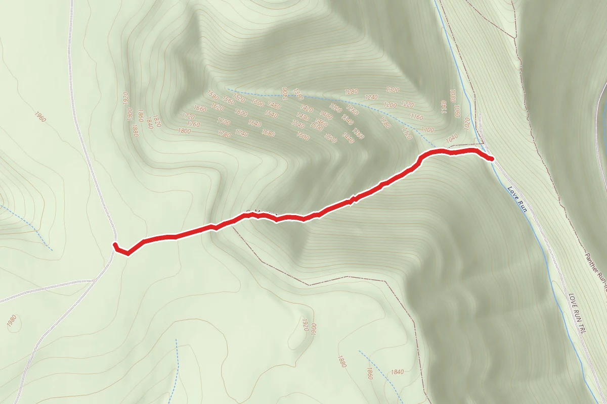 Pesto Trail