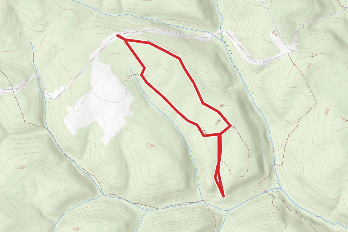 Pinto Loop Trail
